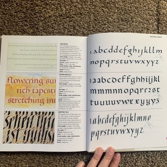 Calligraphy School Hard Cover Book by Gaynor Goffee and Anna Ravenscroft - Picture 3 of 3